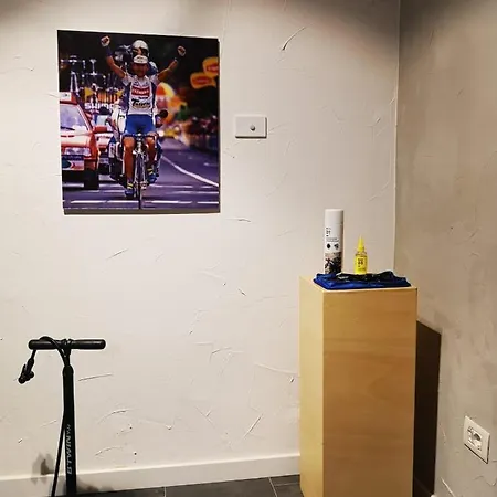 Carrera - Bike *